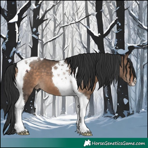 Horse Color:Brown Dun Tobiano