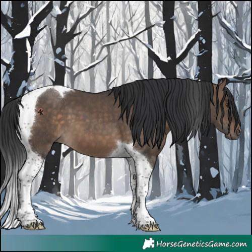 Horse Color:Brown Dun Tobiano 