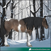 Horse Color:Brown Dun Tobiano 
