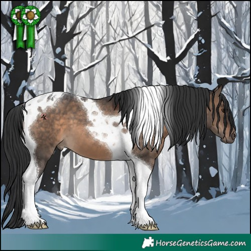 Horse Color:Brown Dun Tobiano 