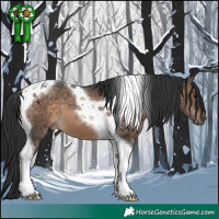 Horse Color:Brown Dun Tobiano 