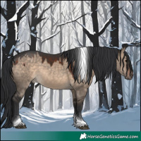Horse Color:Brown Dun Tobiano 