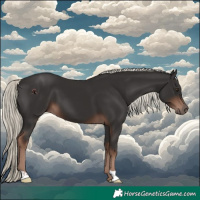 Horse Color:Liver Chestnut Mushroom 