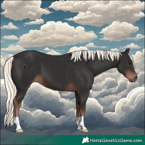 Horse Color:Liver Chestnut Mushroom