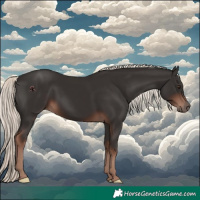 Horse Color:Liver Chestnut Mushroom
