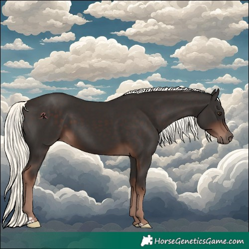 Horse Color:Liver Chestnut Mushroom