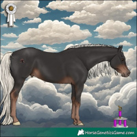 Horse Color:Liver Chestnut Mushroom 