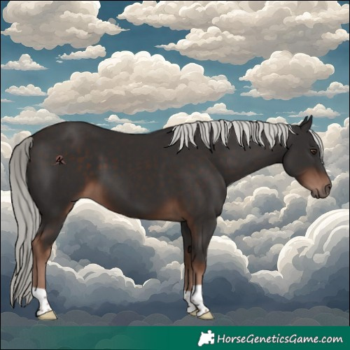 Horse Color:Liver Chestnut Mushroom 
