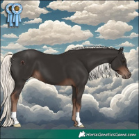 Horse Color:Liver Chestnut Mushroom 