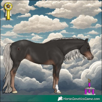 Horse Color:Liver Chestnut Mushroom 