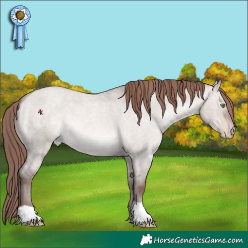 Horse Color:Sable Champagne Roan Dun Mushroom Appaloosa