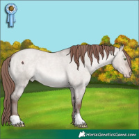 Horse Color:Sable Champagne Roan Dun Mushroom Appaloosa