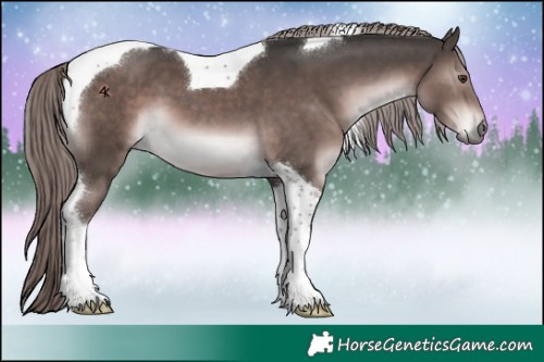 Horse Color:Platinum Liver Chestnut Tobiano