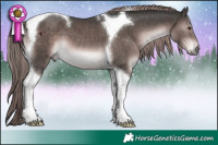 Horse Color:Platinum Liver Chestnut Tobiano 