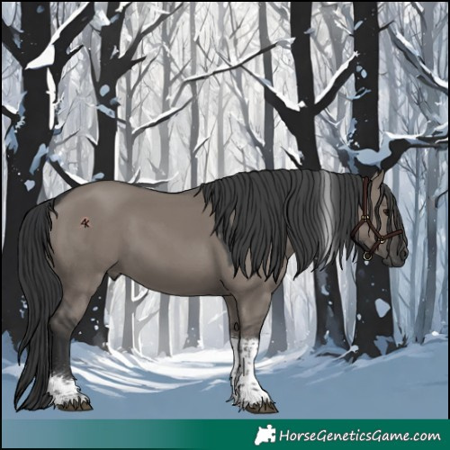 Horse Color:Grullo Tobiano