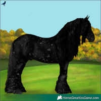 Horse Color:Void Black Sabino Splash Varnish