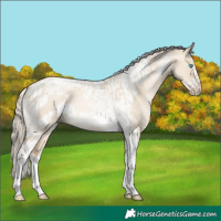 Horse Color:Chocolate Palomino Pearl Dun Tobiano Frame and Chocolate Palomino Pearl Dun Tobiano Frame Rabicano