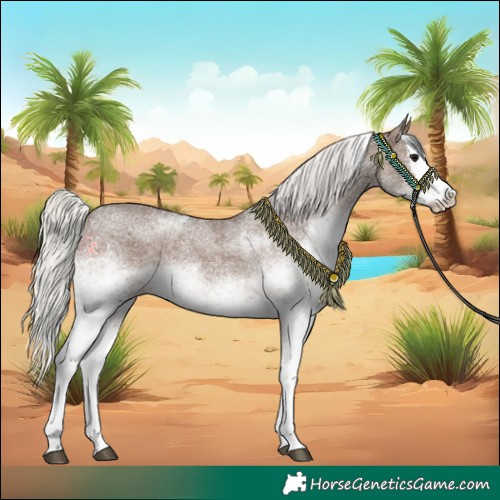 Horse Color:White Spotted Silver Black Splash Rabicano
