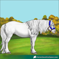 Horse Color:Silver Smoky Creme Dun 