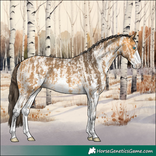 Horse Color:Perlino Sabino  and Buckskin Sabino 