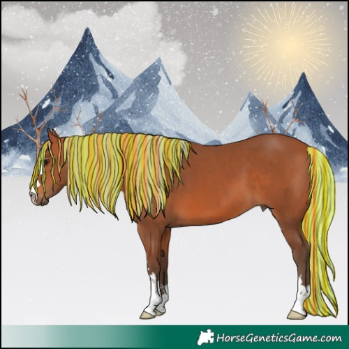 Horse Color:Painted Silver Bay 