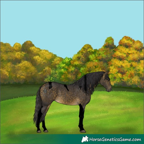 Horse Color:Void Buckskin Tobiano 