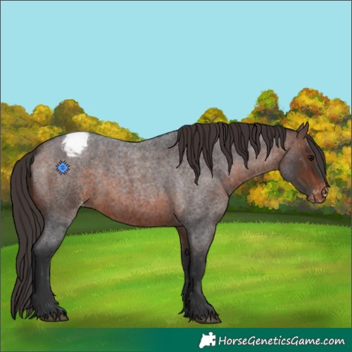 Horse Color:Brown Roan Varnish