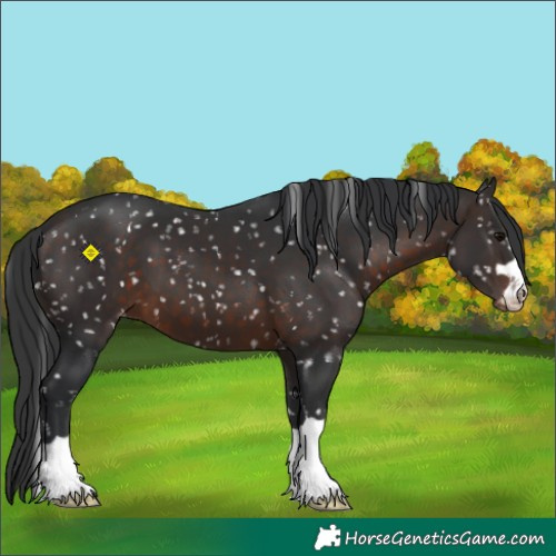 Horse Color:Brown Snowflake Varnish 