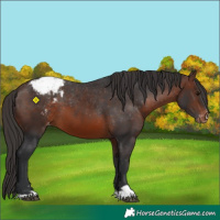 Horse Color:Brown Varnish 