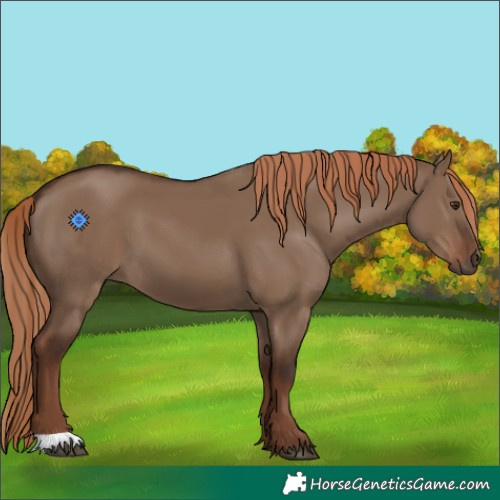 Horse Color:Liver Red Dun 
