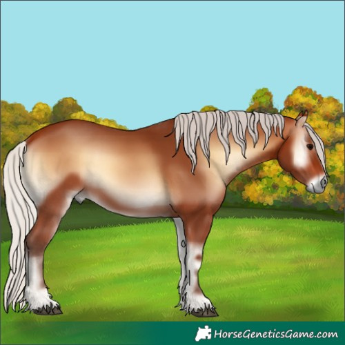 Horse Color:Silver Bay Onyx 