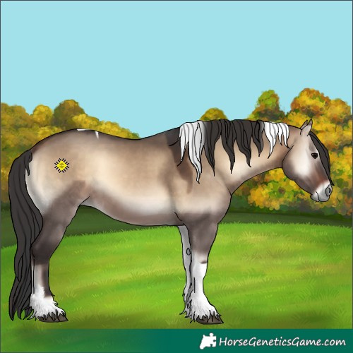 Horse Color:Brown Onyx Tobiano 