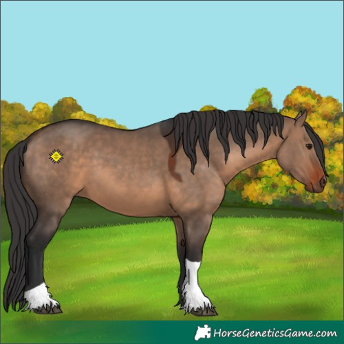 Horse Color:Brown Dun Tobiano 