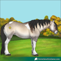 Horse Color:Brown Onyx Tobiano 