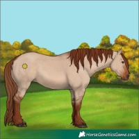 Horse Color:Red Dun 