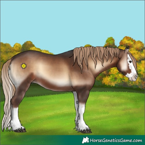 Horse Color:Liver Red Onyx Splash 