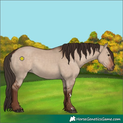 Horse Color:Liver Red Dun 