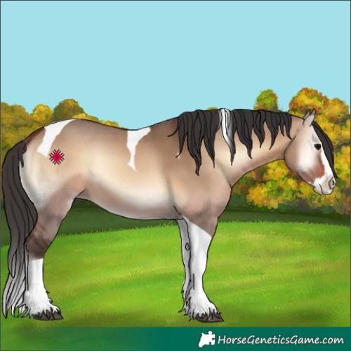 Horse Color:Brown Onyx Splash Tobiano 