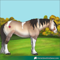 Horse Color:Brown Onyx Splash Tobiano