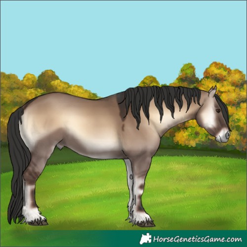 Horse Color:Liver Red Dun Onyx 