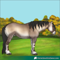Horse Color:Liver Red Dun Onyx 