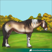 Horse Color:Bay Onyx Tobiano