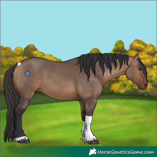 Horse Color:Bay Dun Tobiano 