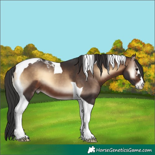 Horse Color:Brown Onyx Tobiano 
