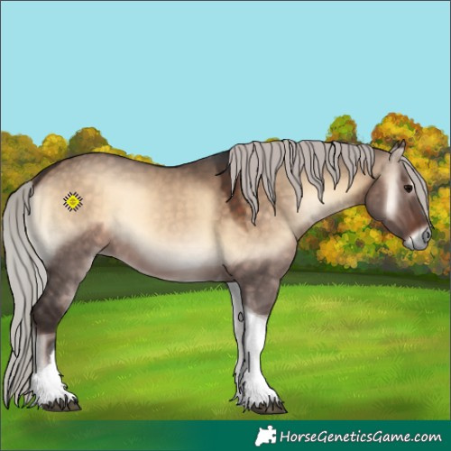 Horse Color:Silver Brown Onyx Tobiano 