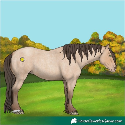 Horse Color:Amber Champagne Roan 