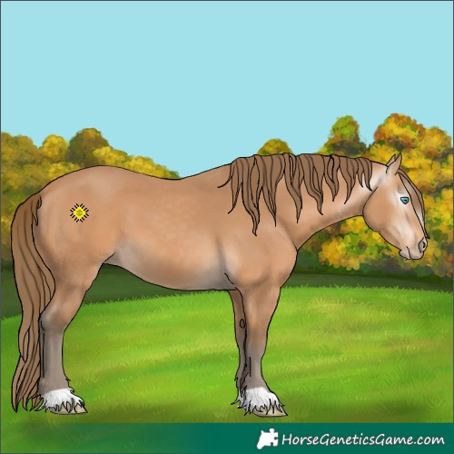 Horse Color:Gray Perlino 