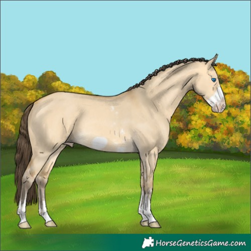 Horse Color:Amber Cream Champagne Dun Sabino Frame Rabicano 