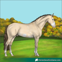 Horse Color:Amber Cream Champagne Dun Sabino Frame Rabicano