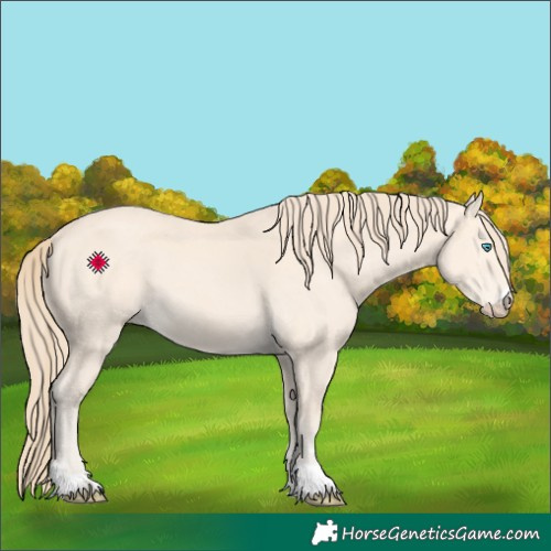 Horse Color:Perlino 